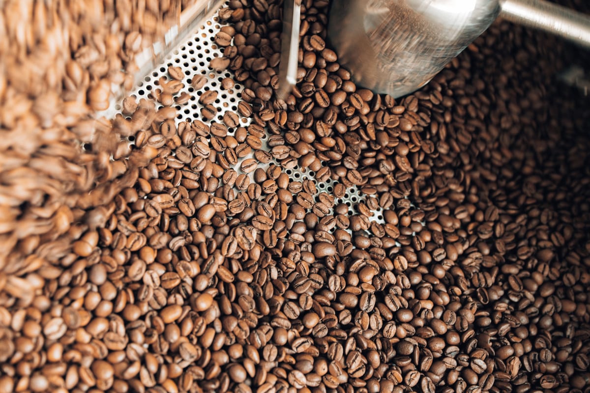 Freshly roasted coffee beans tumbling in a roaster's cooling tray.